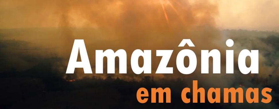 Confira 8 dicas de sobrevivência na Floresta Amazônica - Portal