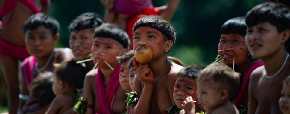 Grupo de indigenas Yanomamis